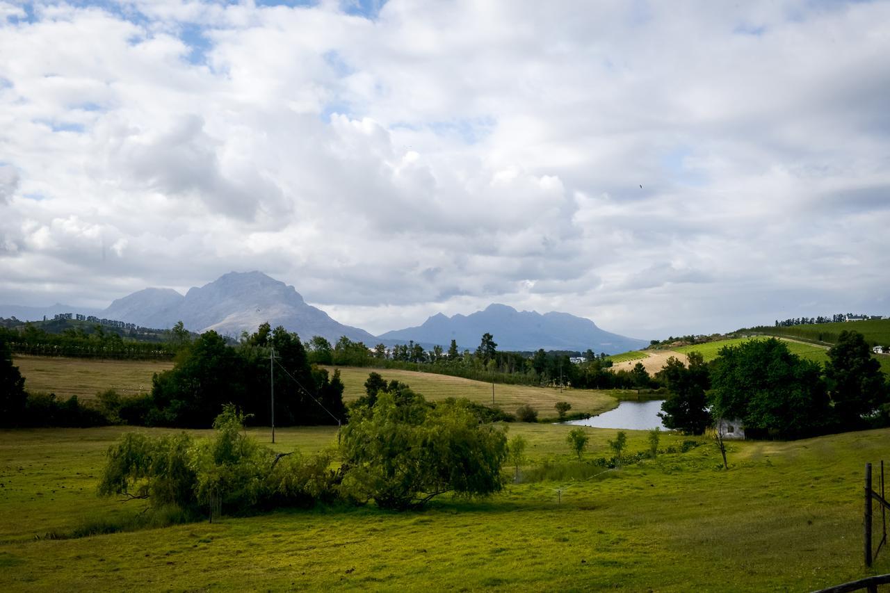 Zebra Cottage&Lodge Stellenbosch Buitenkant foto